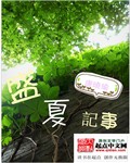 盛夏记事封面