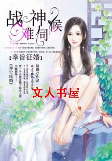 奉旨征婚:战神难伺候封面