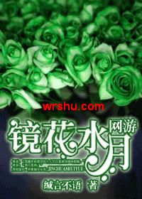 镜花水月(网游)封面