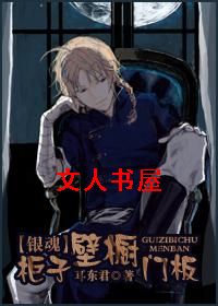 柜子壁橱门板封面