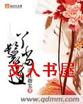 丫鬟当道