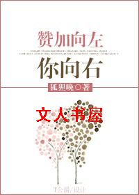 赞加向左你向右封面