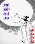 孤杯对月封面