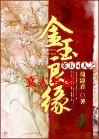 多玉同人之金玉良缘封面