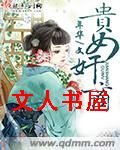 贵女奸商封面