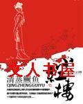 小红楼封面
