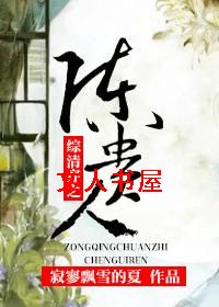 综清穿之陈贵人封面