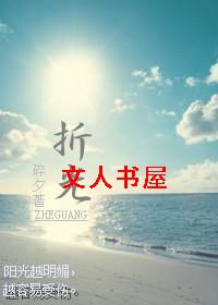 折光(网游)封面