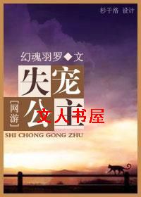 (����)ʧ�蹫������