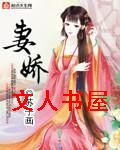 妻娇封面
