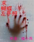 求蝴蝶左手照封面