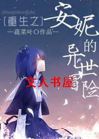 安妮的异世冒险封面