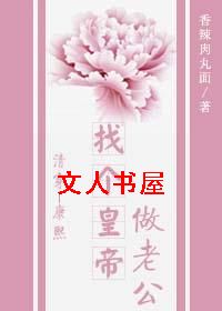 �Ҹ��ʵ����Ϲ�(�崩������)����