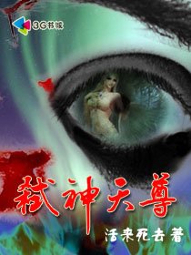 弑神天尊封面