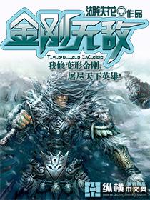 金刚无敌封面