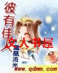 彼有佳人封面
