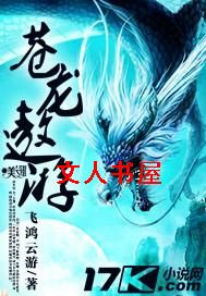 苍龙遨游封面