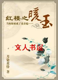 红楼之暖玉封面