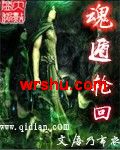 魂遁轮回封面