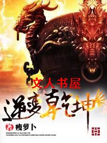 逆变乾坤封面