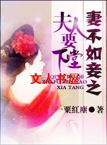 妻不如妾之夫人要下堂封面