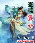 灵魂双修封面