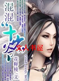无赖娘子太难宠封面