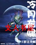 冷月龙啸封面