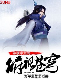 俯视苍穹封面