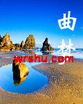 曲梦封面