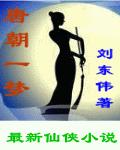 唐朝一梦封面
