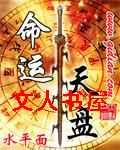 命运天盘封面
