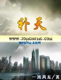 补天传封面