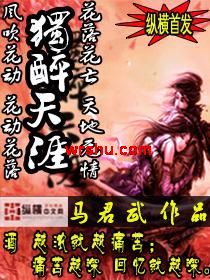 独醉天涯封面