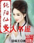 纯阳仙鉴封面