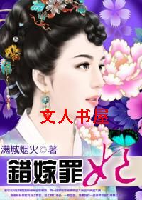 情锁深宫红颜泪:错嫁罪妃封面