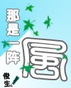那是一阵风封面