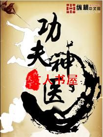 功夫神医封面