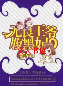 无良王爷腹黑妃封面