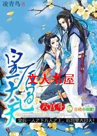 六宫斗,皇后大过天封面