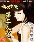 美妙之第二人生封面