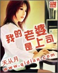 我的老婆是上司封面