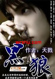 杀手之王纵横都市:黑狼封面