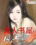 风尘路封面