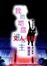 我的地盘谁做主封面