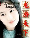 龙游天下封面