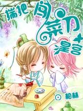 揣把菜刀闯皇宫:与皇逼婚封面