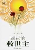 遥远的救世主封面