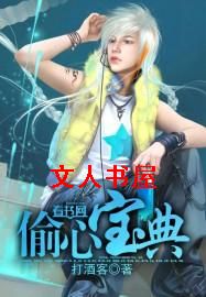 偷心宝典封面