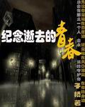 纪念逝去的青春封面